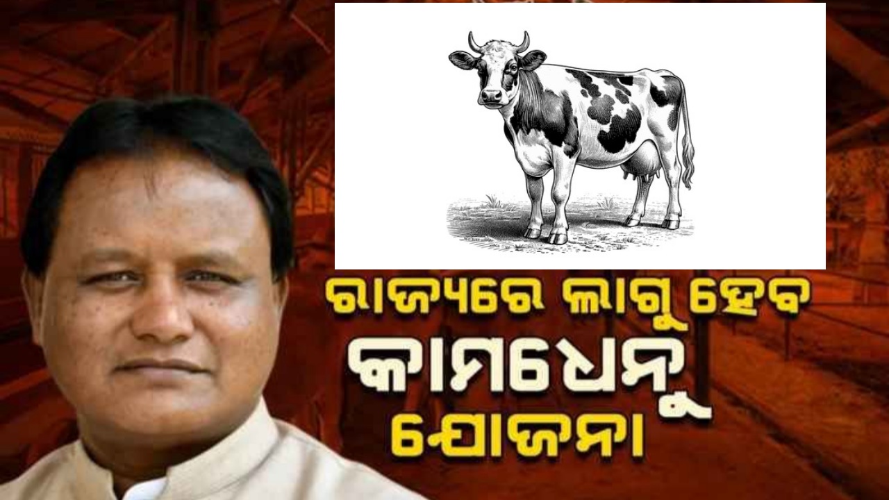 ରାଜ୍ୟରେ  ଲାଗୁ ହେବ କାମଧେନୁ ଯୋଜନା