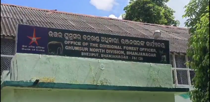 ଘୁମୁସର ବନଖଣ୍ଡ ରେ ବାଘ ଆତଙ୍କ!