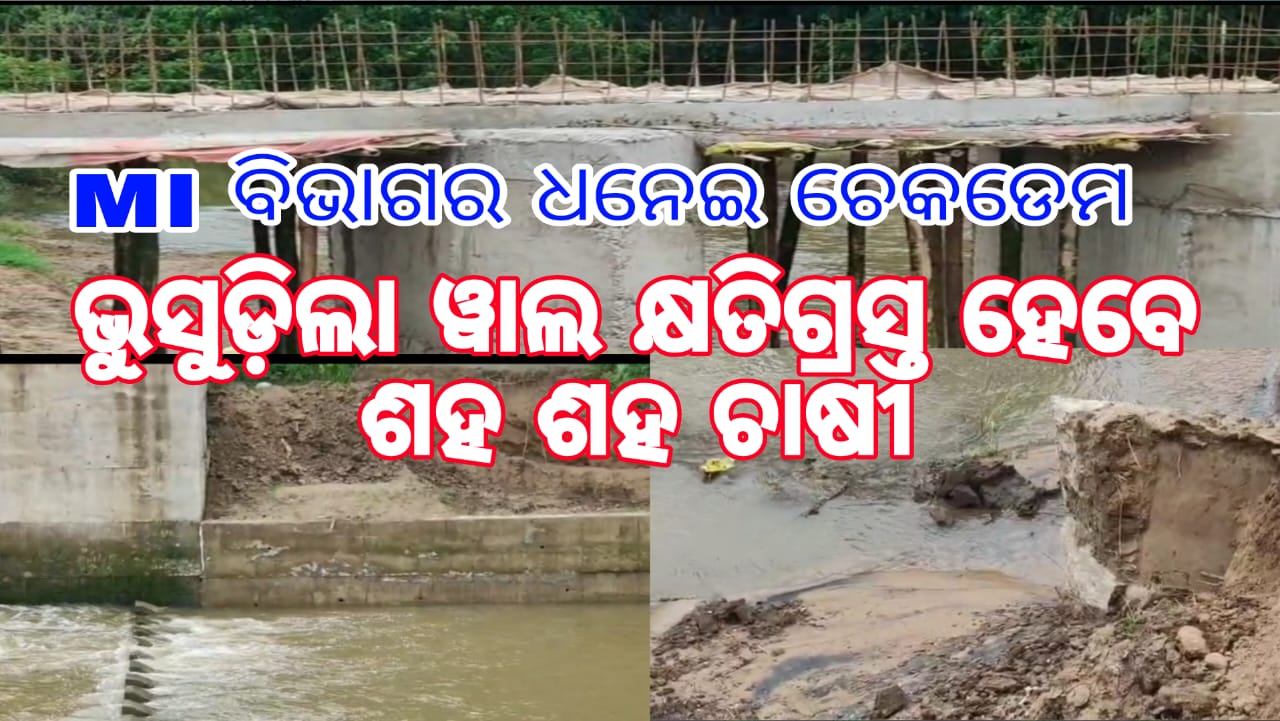 ଭୁଶୁଡିଲା ୱାଲ, ଜଳର୍ଣ୍ଣାବ ହେବ ଏକର ଏକର ଚାଷ ଜମି, କ୍ଷତିଗ୍ରସ୍ତ ହେବେ ଶହ ଶହ ଚାଷୀ.