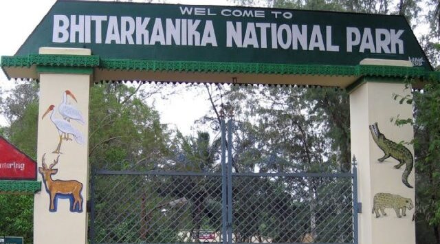 ଅଗଷ୍ଟ ପହିଲାରୁ ଖୋଲିବ ଭିତରକନିକା ଜାତୀୟ ଉଦ୍ୟାନ