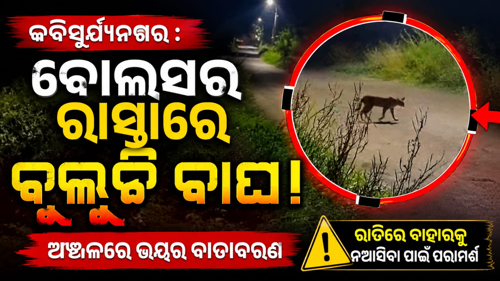 କବିସୂର୍ଯ୍ୟନଗର ଅଂଚଳ ରେ ବାଘ ଆତଙ୍କ.