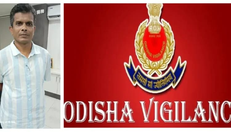 ଭିଜିଲାନ୍ସ ଜାଲରେ ରାଉରକେଲାର ଅବକାରୀ ଅଧୀକ୍ଷକ